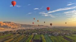 package hot air balloon and safari - Image 8